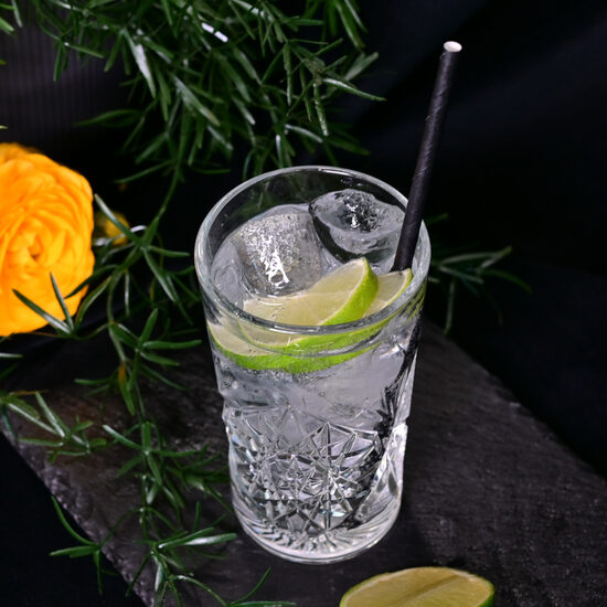 Gin Tonic ar vai bez alko